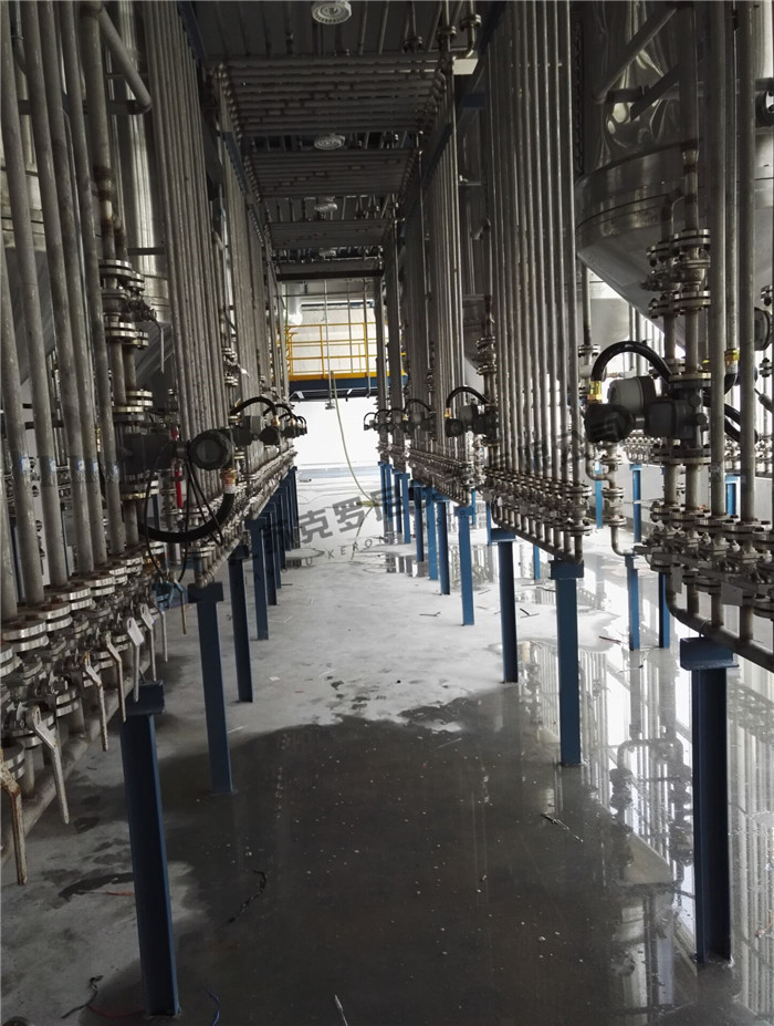 旋進(jìn)旋渦流量計(jì) 旋進(jìn)旋渦流量計(jì)